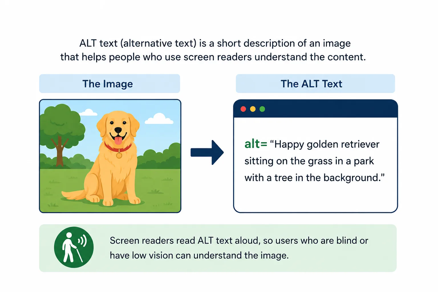 Infographic explaining ALT text using a dog image and an example description written for screen reader accessibility